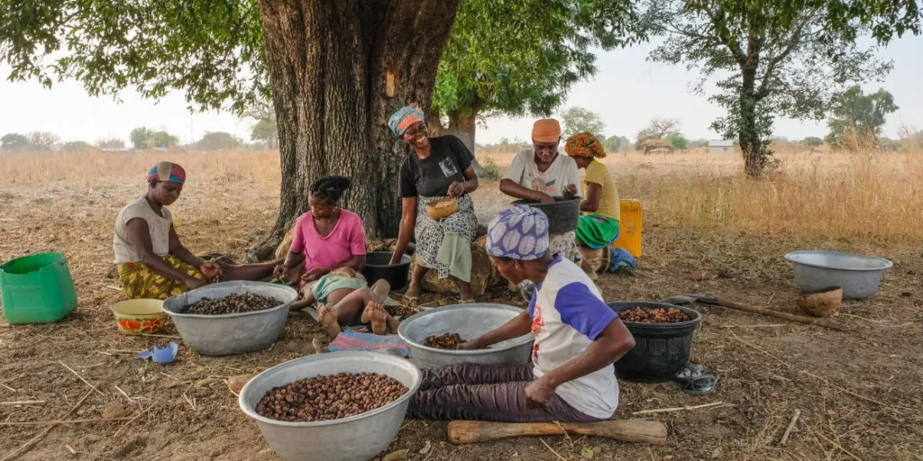 Image of women resting after collecting Shea fruit in the forest